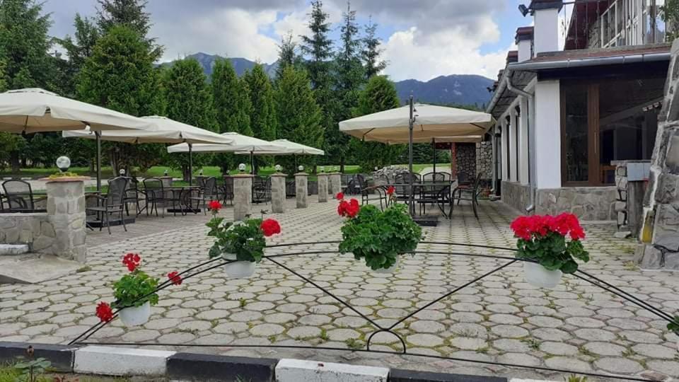 Hotel Cheia Cheia (Prahova) Exterior foto